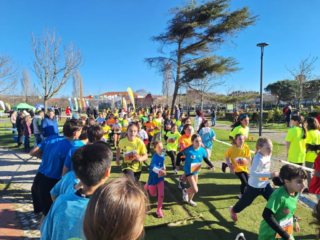 Corta Mato Distrital - 2024/25