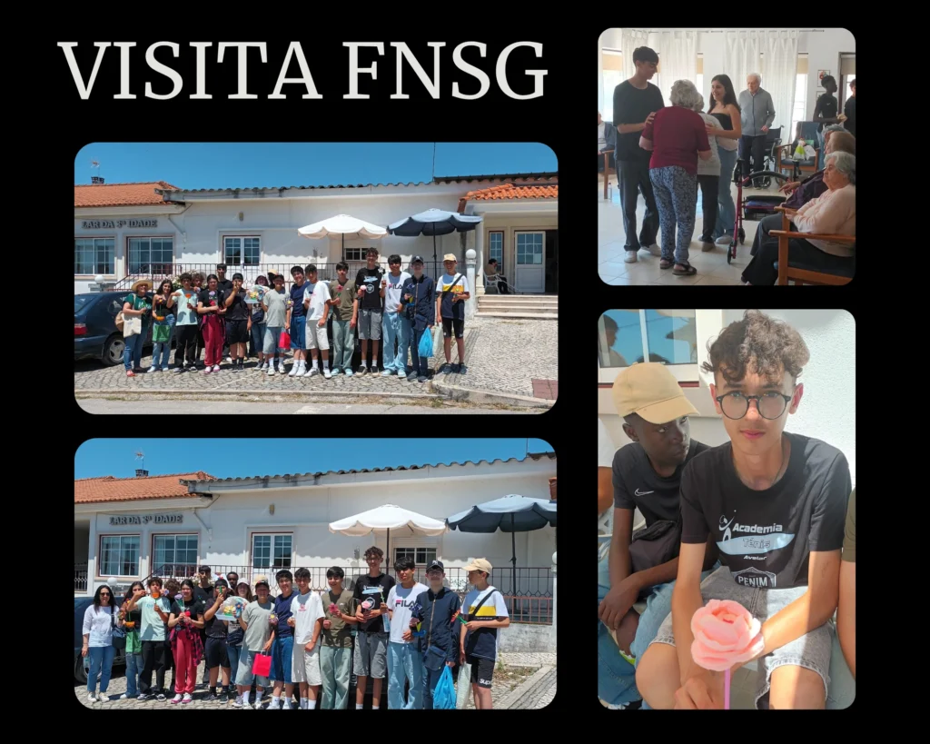 Colagem «Visita FNSG»: alunos em frente ao Lar da 3.ª Idade, com flores de papel, e convívio com residentes.