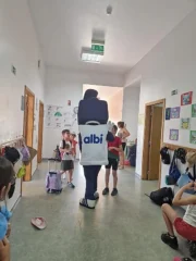 albi-202600011