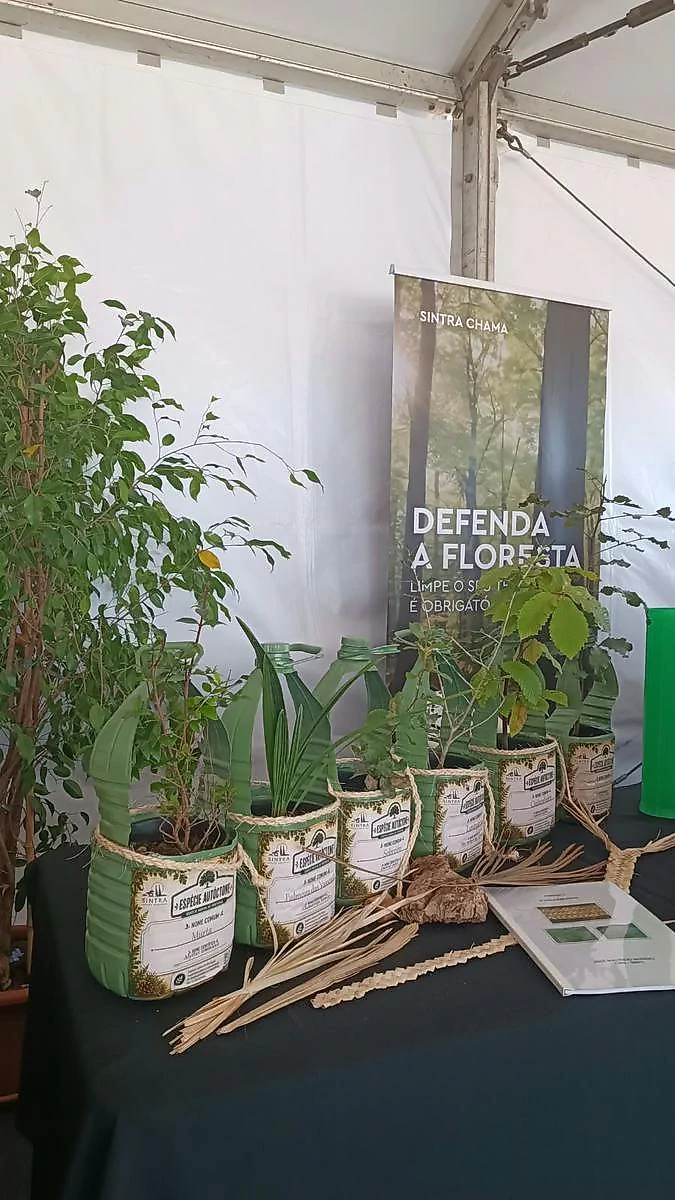 Vasos de plantas com etiquetas «Espécies autóctones» num stand, junto ao painel «Defenda a floresta».