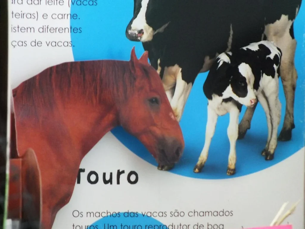 Página do livro sobre o touro: um cavalo castanho à frente de uma vaca e de uma vitela pretas e brancas.