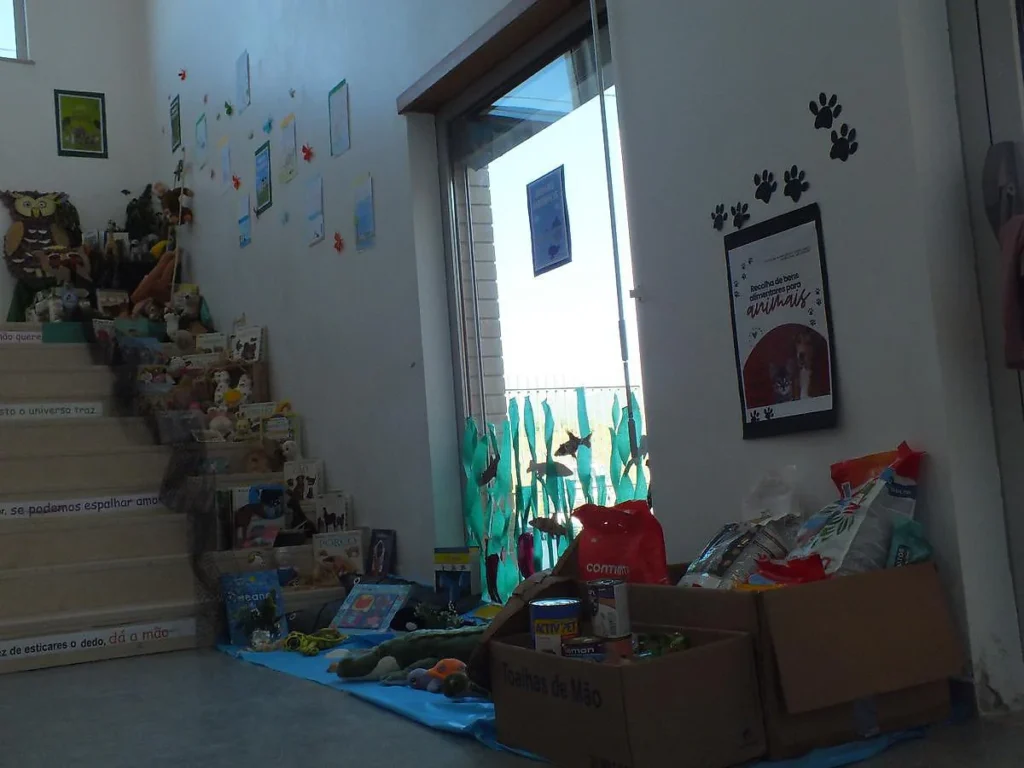 Recolha de bens alimentares para animais: caixas de cartão com ração e latas junto a uma escada com livros.
