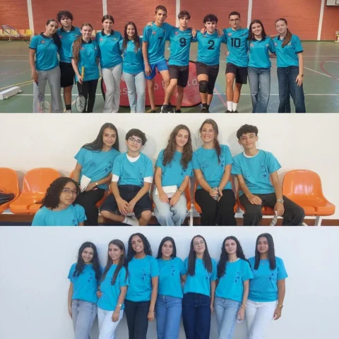 z-colaboradores